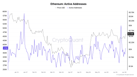 Активность китов Ethereum возросла, но цена не растет — что сдерживает ETH1
