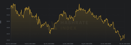 Биткоин или искусственный интеллект: что выберут майнеры?1