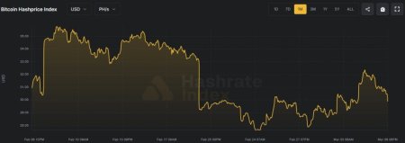 Биткоин-майнер Cango отключил 30% хешрейта1