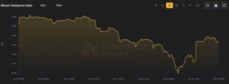 Биткоин-майнер Cango продал 4451 BTC и анонсировал экспансию в ИИ1