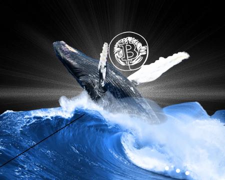 Биткоин-майнер времен Сатоши «проснулся» спустя 15 лет 0