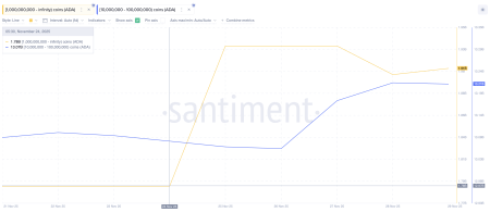 Что покупают криптокиты для прибыли в декабре 20254