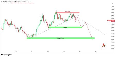 Дорожная карта Cardano на 2025 год: достигнет ли ADA нового пика1