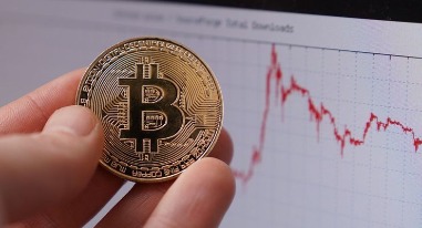 Эксперт Назвала Признаки Недобросовестной Криптобиржи