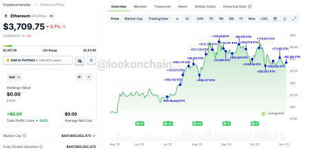 Киты между страхом и жадностью: что скупают и продают инвесторы на просадке рынка0