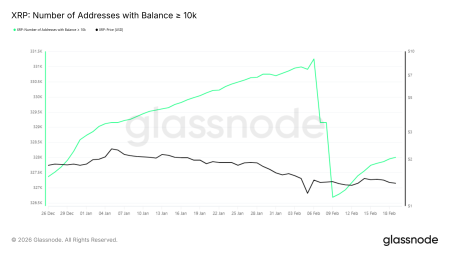 Курс XRP приблизился к зоне исторического разворота на фоне недооцененности актива1