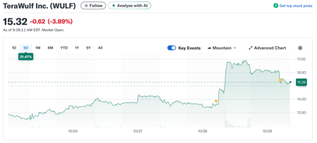 Майнер TeraWulf привлечет $500 млн на строительство дата-центра в Техасе 1