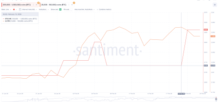 Пользователи Polymarket сделали ставку на скачок цены биткоина до $75 0004