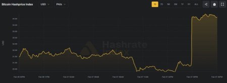 Сложность майнинга биткоина обвалилась на 11%3