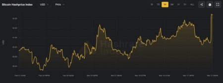 Сложность майнинга биткоина обвалилась почти на 8%3