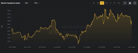 Сложность майнинга биткоина откатилась от исторического максимума3